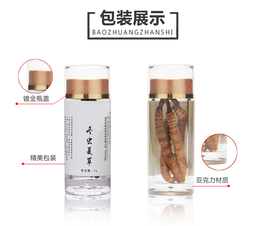 虫3.jpg