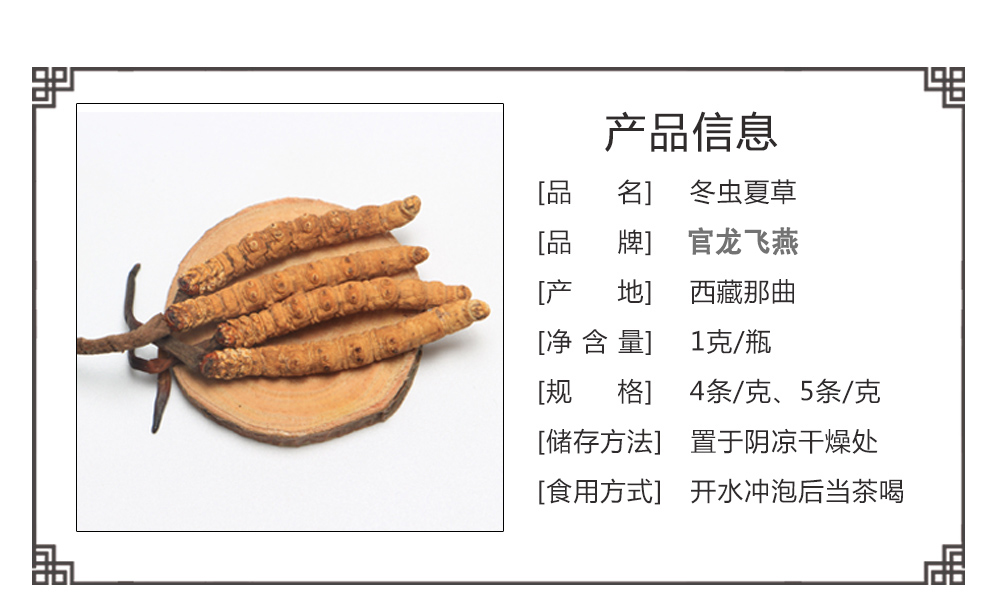 虫2.jpg