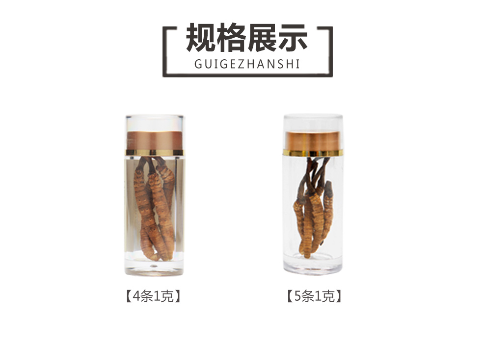 虫11.jpg