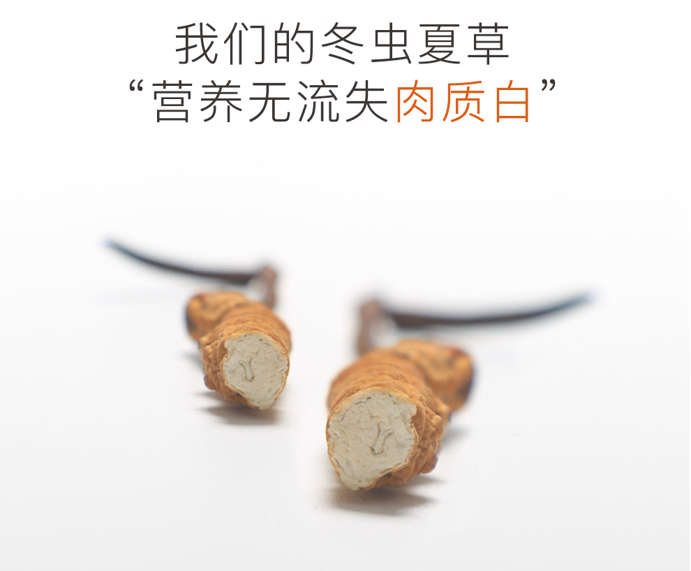 虫6.jpg