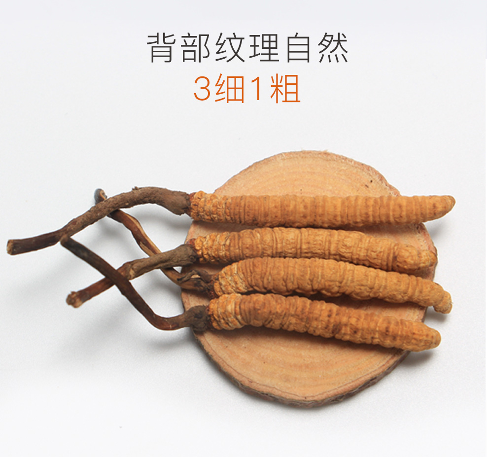 虫8.jpg
